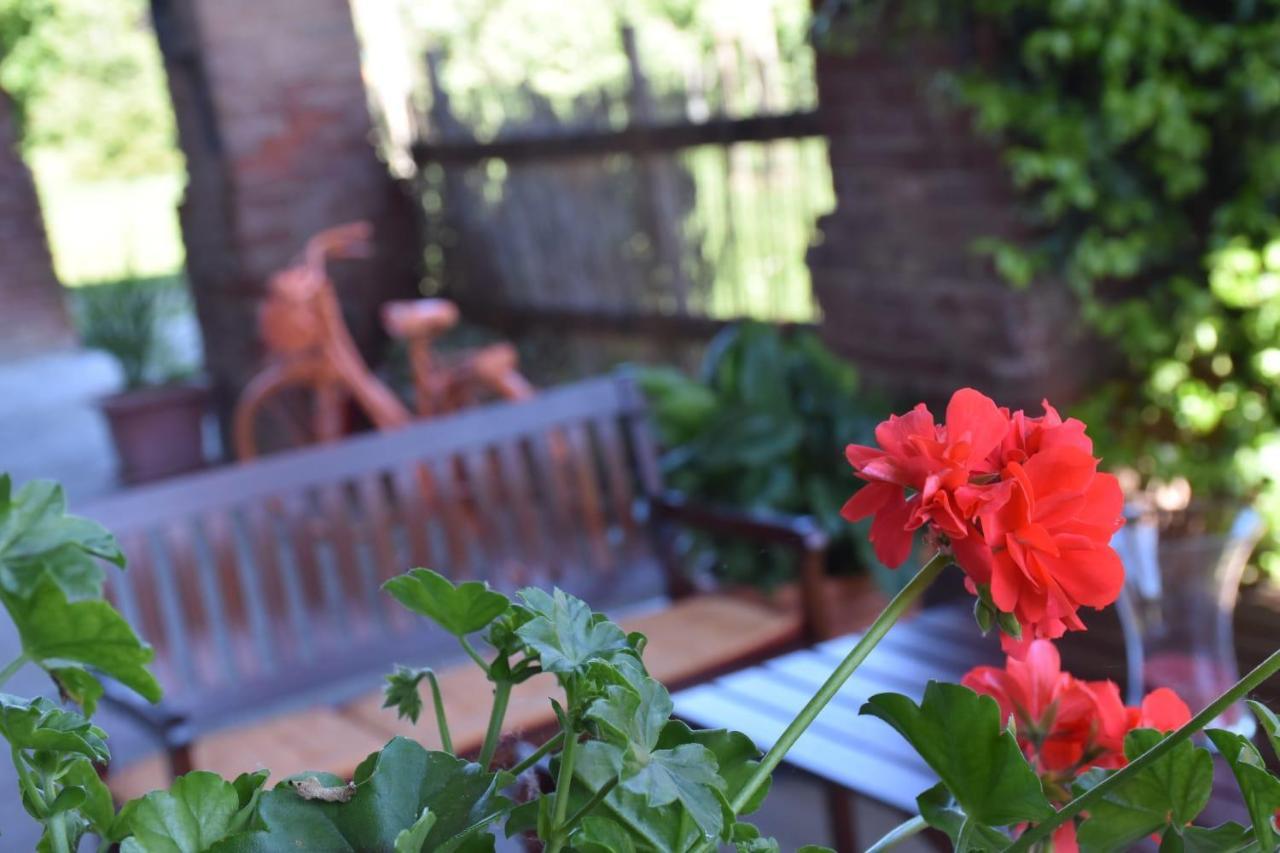 La Casa Di Enzo Bed & Breakfast Lequio Tanaro Exterior foto